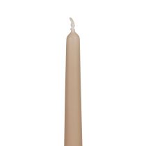 Velas cônicas Velas Wenzel bege 250/23mm 12pcs
