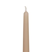 Itens Velas cônicas Velas Wenzel bege 250/23mm 12pcs