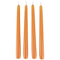 Velas cônicas Velas Wenzel laranja 250/23mm 12pcs