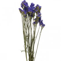 Itens Ramo de Lavanda do Mar, Flores Secas, Lavanda do Mar, Statice Tatarica Azul L46–57cm 23g