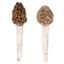 Itens Cogumelo morel artificial decorativo para vasos de plantas e mesas, 13 cm, 2 peças