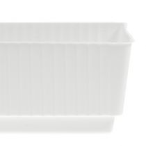 Bandeja de soquete espuma molhada 23 x 8 x 4,5 branco 10 unidades