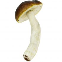 Cogumelo Porcini castanho H8cm - 20cm 6pcs
