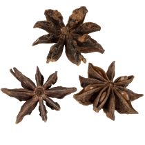 Itens Decoração de anis estrelado, itens artesanais, decoração natural, anis seco 500g