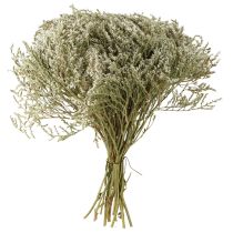Itens Flores secas de lavanda de praia (Statice) 2kg, decoração natural