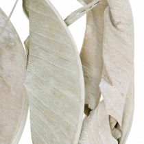 Folhas de Strelitzia lavadas de branco secas 45-80cm 10pcs
