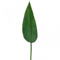 Folha decorativa de flor de papagaio Strelitzia Folha de Strelitzia Verde L81cm