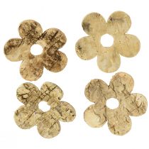 Itens Decoração dispersa flores de casca de madeira bétula vintage Ø5cm 36 un