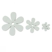 Decoração dispersa decoração de mesa de madeira flores brancas Ø2cm–6cm 20 unidades