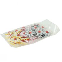 Itens Decoração dispersa joaninha flor madeira feltro cor Ø4cm 48 un