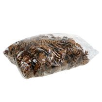 Itens Cones Strobus 10-15cm pintados 100 peças