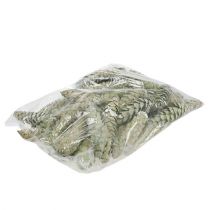 Itens Cones Strobus decoração maçã verde branco lavado 15-20cm 50 peças