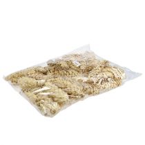 Itens Strobus branqueado 15cm-20cm 50 un