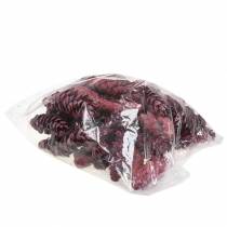 Itens Cones Strobus decoração vermelho branco lavado 15-20cm 50 peças