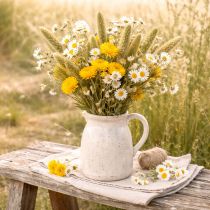 Itens Ramo de flores secas de helichrysum amarelo (Helichrysum), 100g