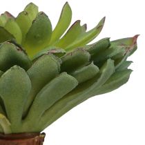 Itens Suculenta Echeveria Planta Verde Artificial Verde Ø6cm 10,5cm