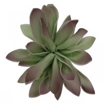 Verde suculento, bordô 10 cm 12 unidades