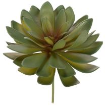 Itens Suculenta artificial como planta decorativa, verde, 18 cm, 3 peças