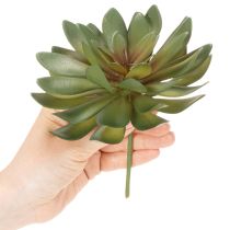 Itens Suculenta artificial como planta decorativa, verde, 18 cm, 3 peças