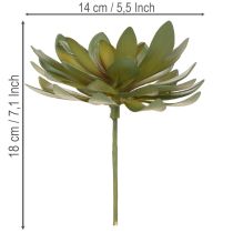 Itens Suculenta artificial como planta decorativa, verde, 18 cm, 3 peças