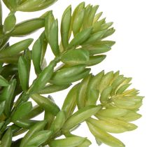 Itens Flor suculenta artificial para decoração de baixa manutenção de espaços residenciais e comerciais, 15 cm, 6 peças