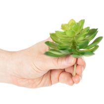 Itens Planta suculenta artificial, verde, para decoração em vaso ou tigela, 10 cm, 4 peças