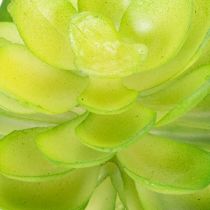 Itens Planta suculenta artificial, verde, para decoração em vaso ou tigela, 10 cm, 4 peças