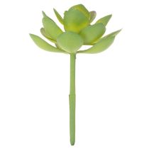 Itens Planta suculenta verde artificial como decoração para arranjos criativos.