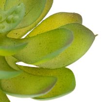 Itens Planta suculenta verde artificial como decoração para arranjos criativos.