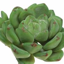 Suculenta Echeveria artificial Verde Alt.15cm