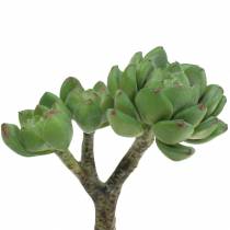 Itens Suculenta Echeveria artificial Verde Alt.15cm