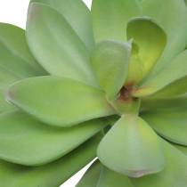 Itens Suculenta artificial verde 27cm