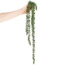 Itens Guirlanda artificial de suculentas para decoração de sala de estar