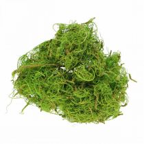 Itens Fibra de Tamarindo Fibra Natural Verde Claro para Artesanato e Decoração 500g