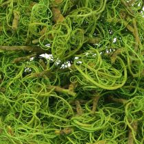Itens Fibra de Tamarindo Fibra Natural Verde Claro para Artesanato e Decoração 500g
