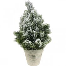 Mini árvore de Natal em vaso nevado artificialmente Ø18cm H32cm