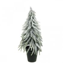 Abeto decorativo com neve, decoração do advento, abeto em vaso Alt.37cm