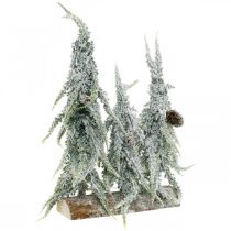 Abetos com neve, decoração do Advento, floresta de inverno L16,5cm A28cm