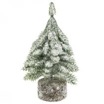 Abeto com neve, decoração de Natal, abeto decorativo H14cm