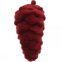 Itens Cones decorativos reunidos, decoração de outono, cones de pinho vermelho, Advento H8,5cm Ø4,5cm 8pcs