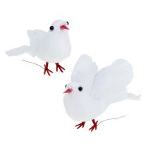 Pombos 5 cm em fio branco 8pcs