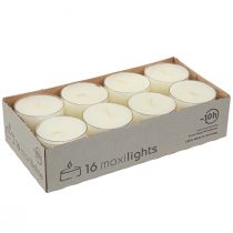 Itens Tealights maxi com capa transparente branca 54mm 16 peças