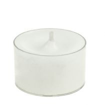 Tea light branco em tigela de plástico 50uds