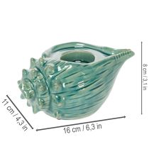 Itens Porta-velas decorativo em formato de concha para mesa, banheiro ou sala de estar, 16 cm