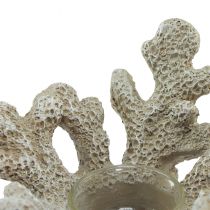 Itens Porta-velas decoração coral cinza marítimo Ø12cm Alt.8cm