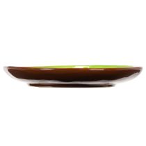 Itens Pratos redondos de cerâmica com estampa de kiwi, ideais para mesa de jantar ou cozinha, 16 cm, conjunto com 2 peças.
