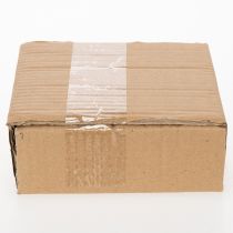 Itens Pratos redondos de cerâmica com estampa de kiwi, ideais para mesa de jantar ou cozinha, 16 cm, conjunto com 2 peças.