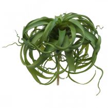 Itens Tillandsia Planta verde artificial para colar Verde Grande Ø40cm