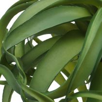 Tillandsia Planta verde artificial para colar Verde Grande Ø40cm