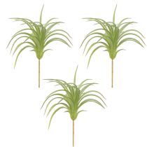 Itens Tillandsia Plantas Artificiais Verdes com Vara Ø17cm 3 un
